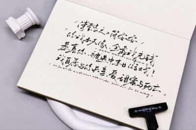 在生存游戏做锦鲤
懿安CP向
/自割腿肉之作꒦ິ^꒦ິ