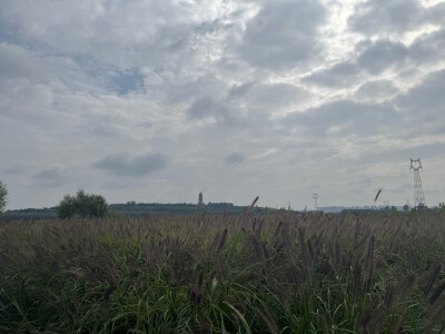 岔河