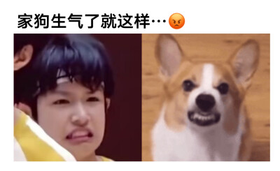 怎么哄？