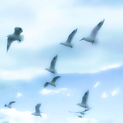 ✿ ꉂ ･ ･ ☆
