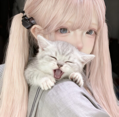 女头
萌萌的小猫