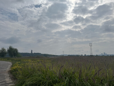 岔河