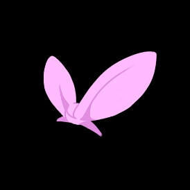 免扣素材