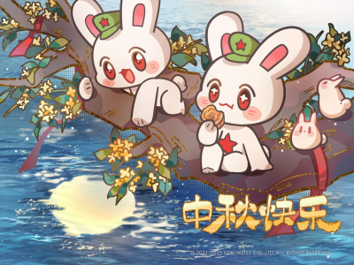 那年那兔那些事儿