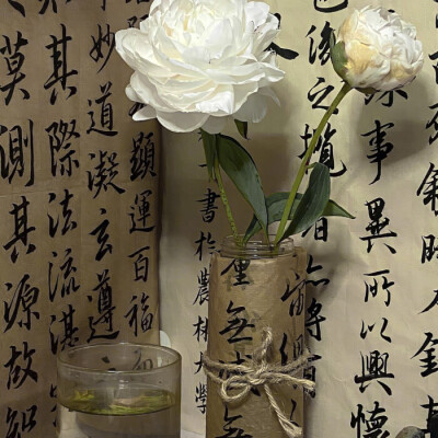 沅冬序