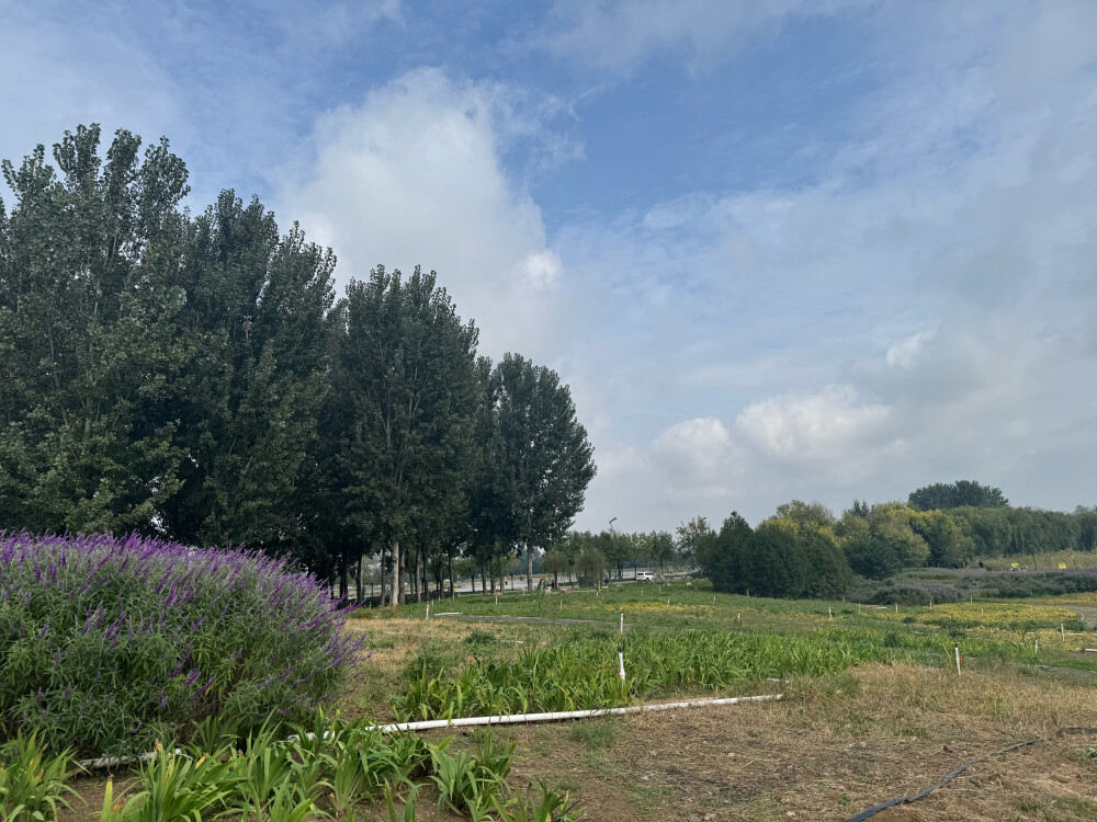 岔河
