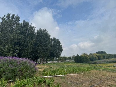 岔河