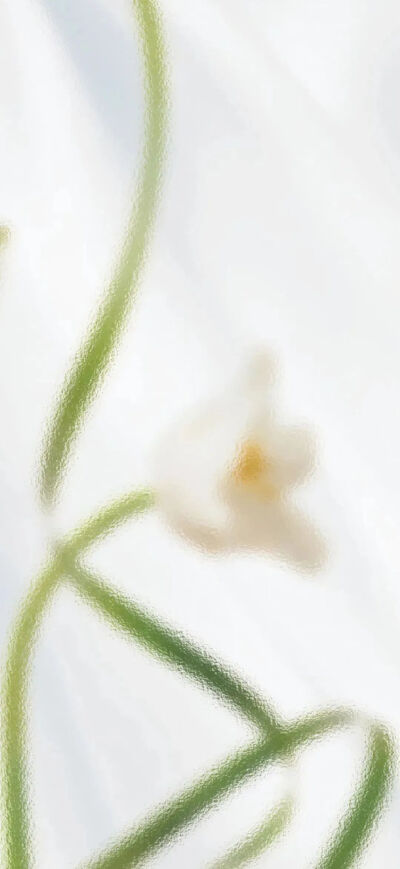 壁纸