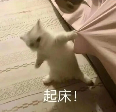 我可以做你的备胎吗？我什么都不想要，只需你一直钓着我就好了。让我有个念想，只要能看到你在我生活中的存在，我就心满意足了。希望我们能保持联系，我会一直陪伴在你身边。无论何时何地，我会一直陪着你，永远不离…