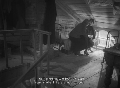 《雁南飞》