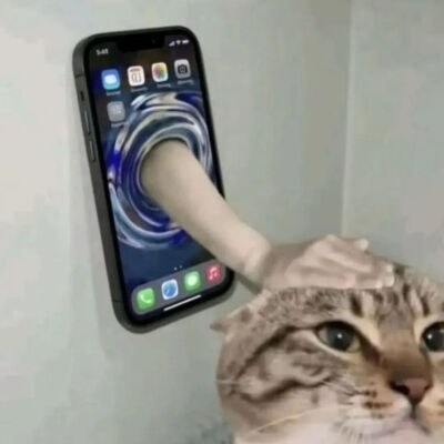 猫猫表情包