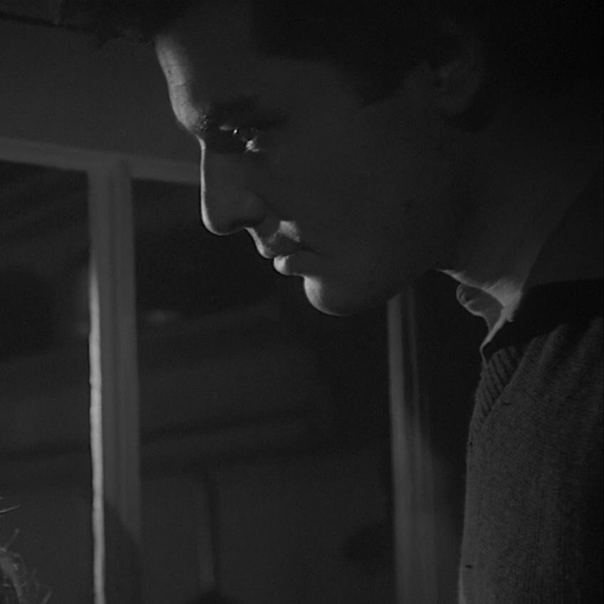 自截情头《雁南飞》