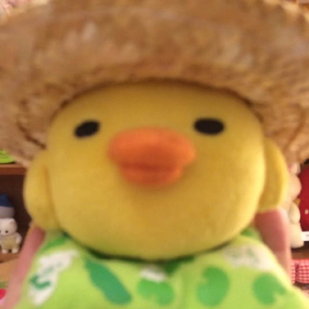 (=ﾟωﾟ)ﾉ