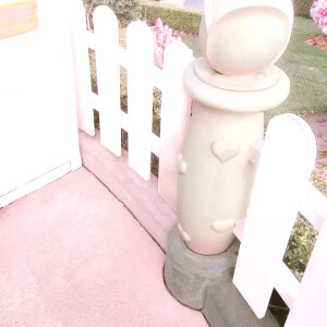 ⁺♡⁎  .  ˖ ˚ ☘︎