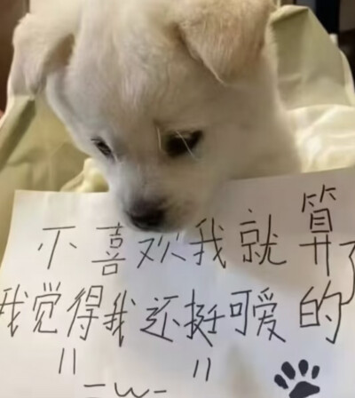 我觉得我还挺可爱的