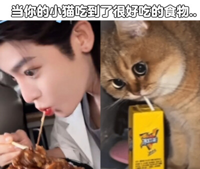 太萌了