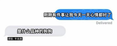 小狗文学