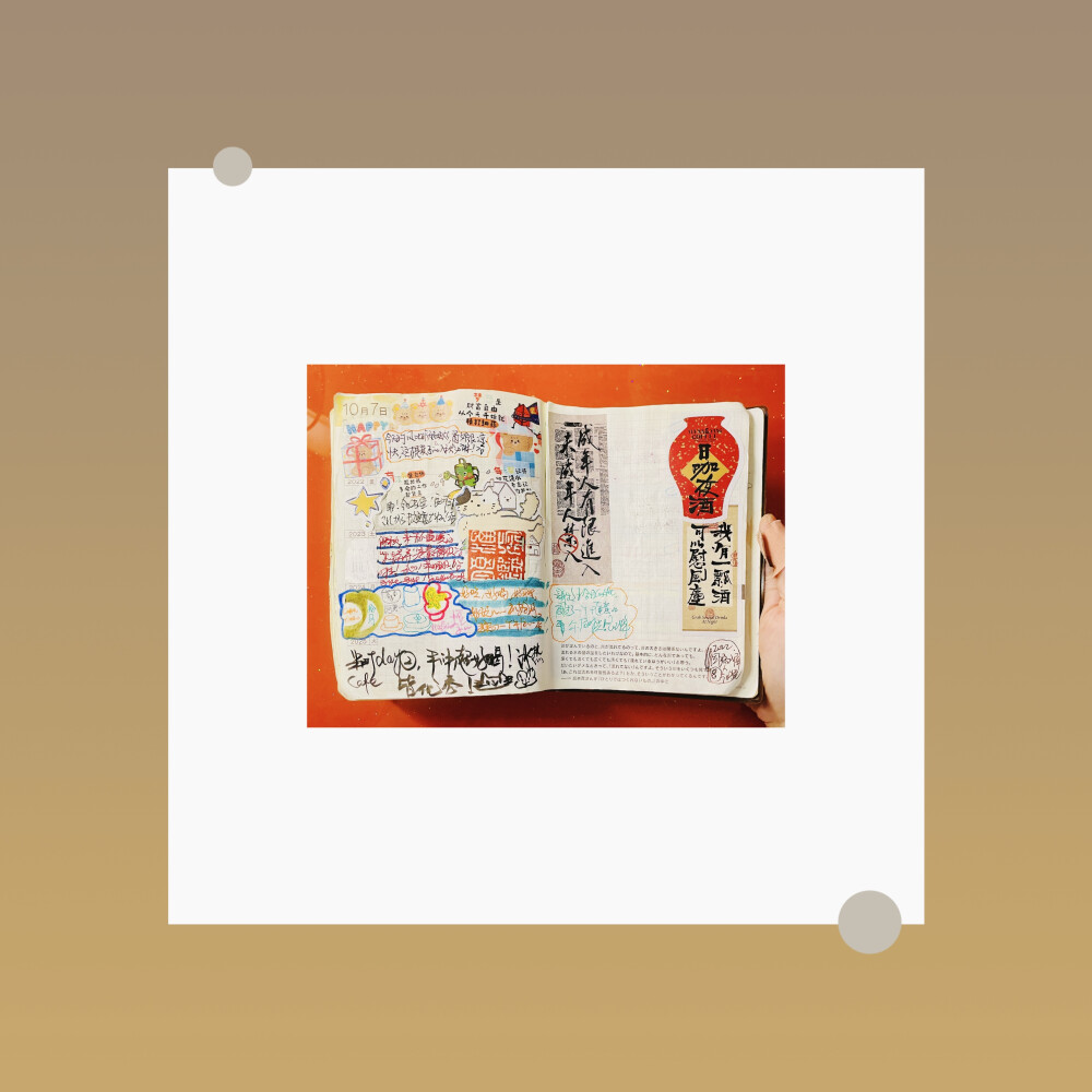 好きです