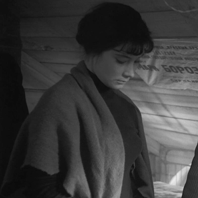 自截情头《雁南飞》