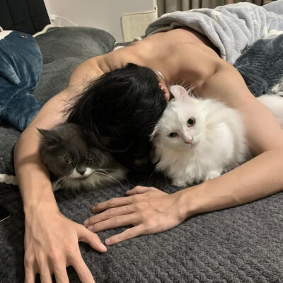 男头