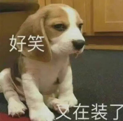 表情包