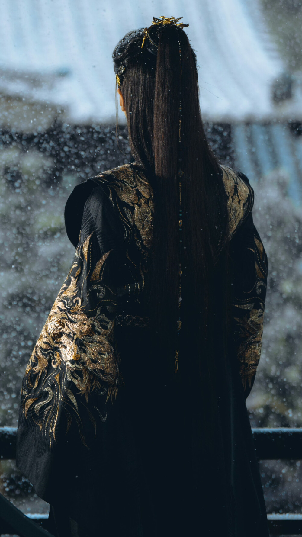 一笑随歌 凤随歌 陈哲远