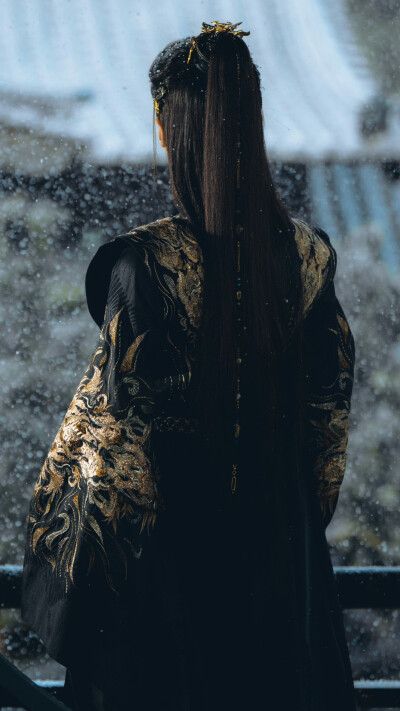 一笑随歌 凤随歌 陈哲远