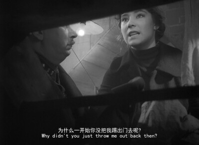 《雁南飞》