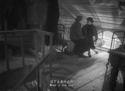 《雁南飞》