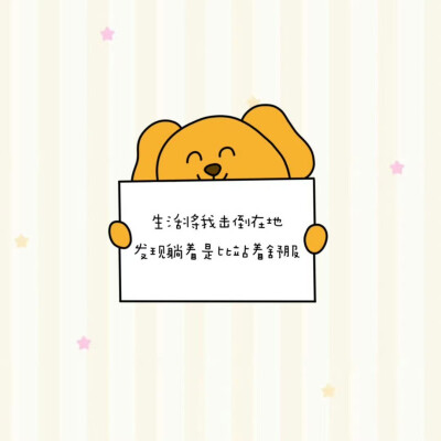 ©笨笨的黄苹果