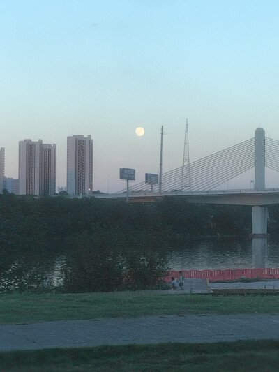 好想活到月亮上
望穿深海的沉厚
一览大地的苍茫
好想活到月亮上
守护年代的永恒
保持小学和高中的模样
好想活到月亮上
不要再察言观色
做自己的阴晴圆缺
好想活到月亮上
在大气之巅
承接众人仰慕的眼光
走哟，去…