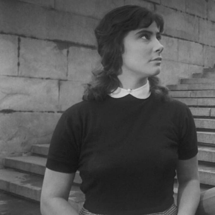 自截情头《雁南飞》