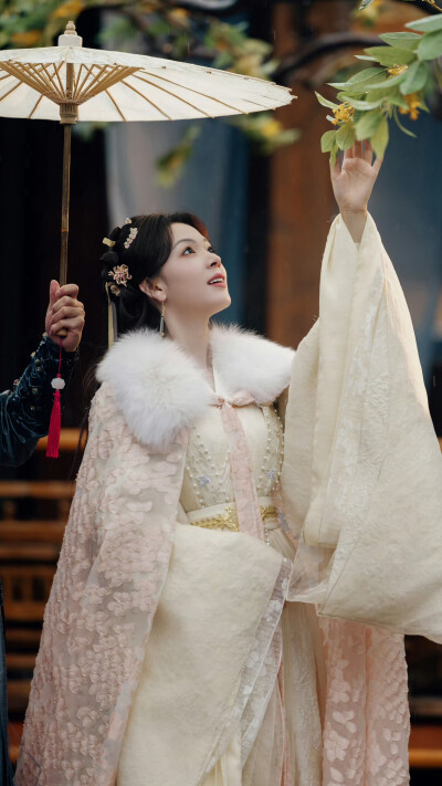 照镜辞 扶微 周若兮 陈瑶