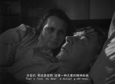 《雁南飞》
