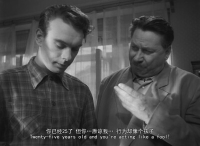 《雁南飞》