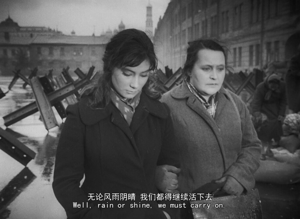 《雁南飞》