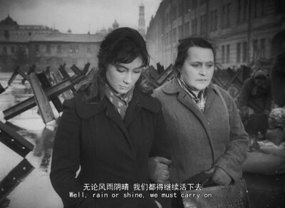 《雁南飞》