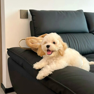 图源ks：偷喝汽水
