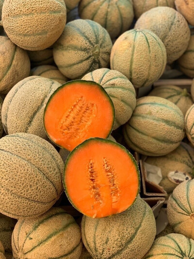 真正的沉默从不是语言的缺席，
有时是话到嘴边的咽下，
有时是无需言说的共情。