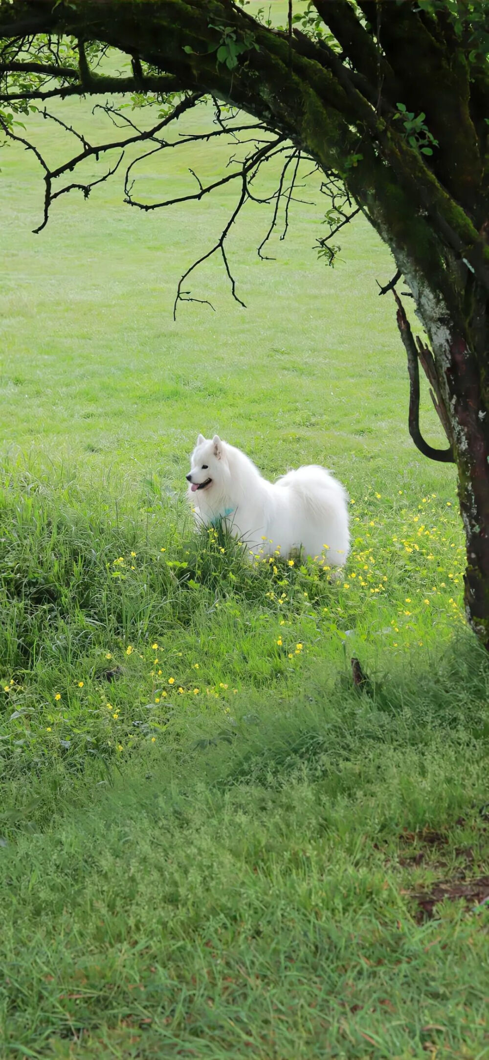 ‎#ليس قوة خارقة