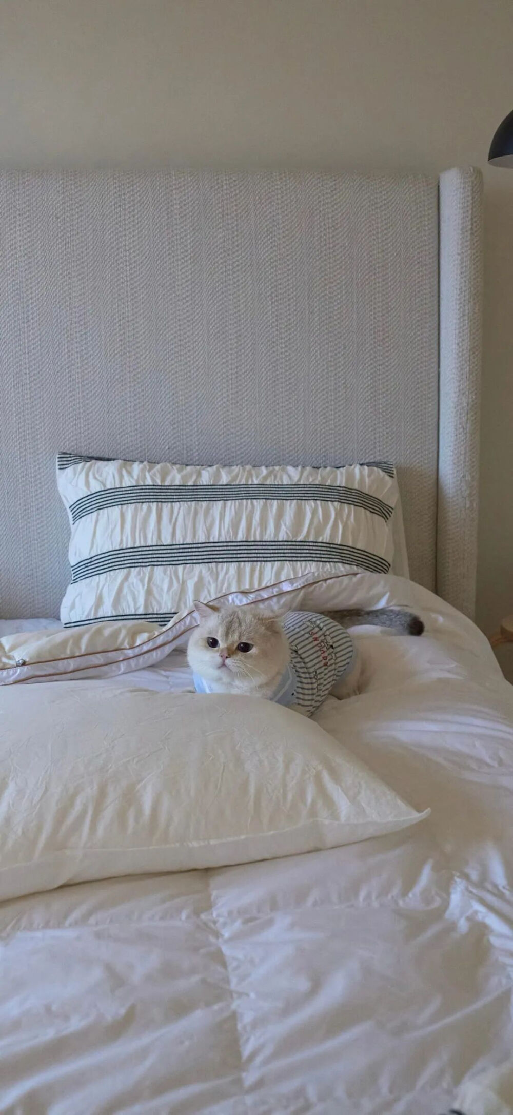 ‎#ليس قوة خارقة