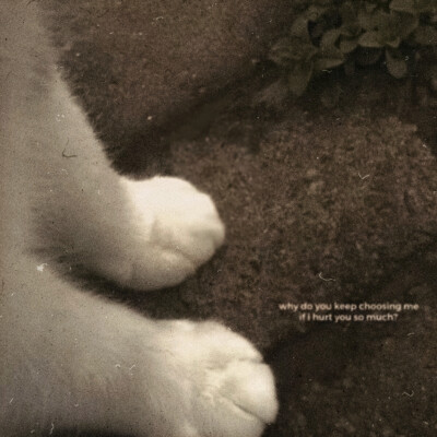 처음 뵙겠습니다∶ “以礼”—— Primer Encuentro irante＊黎