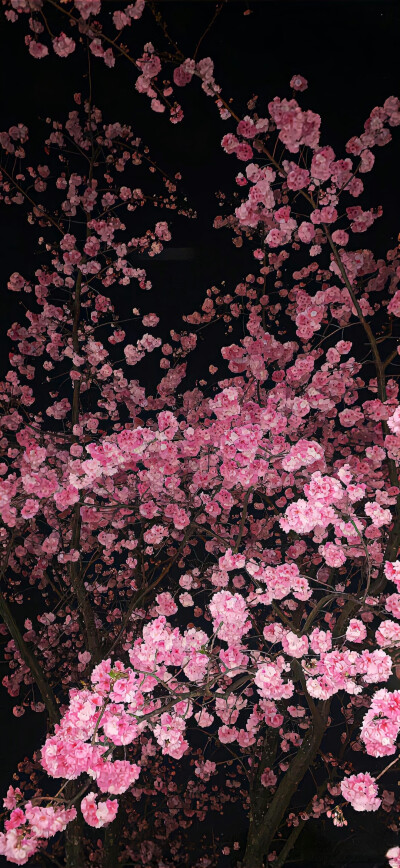 背景图