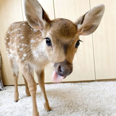 ^_^