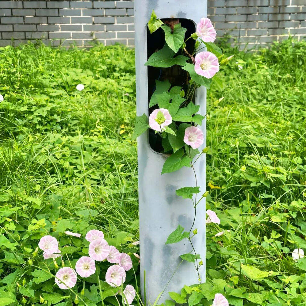 ‎#ليس قوة خارقة