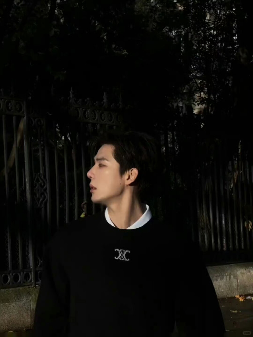 王安宇