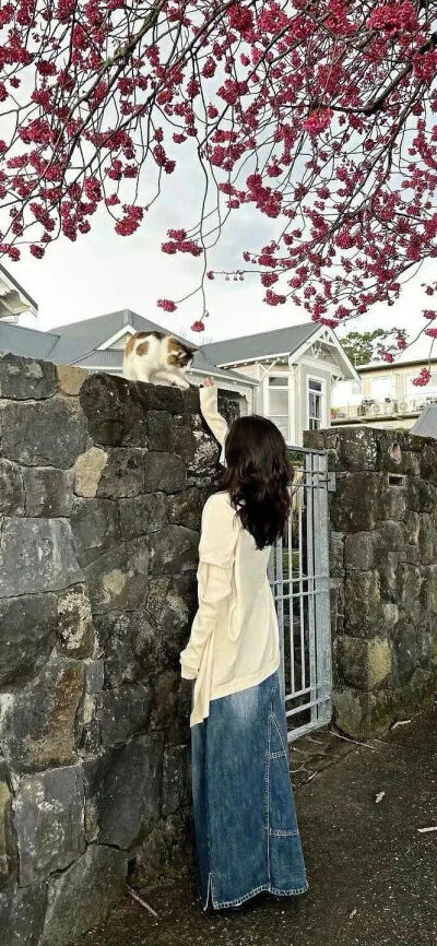 壁纸