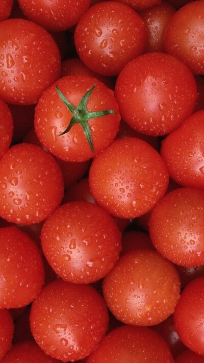 真正的沉默从不是语言的缺席，
有时是话到嘴边的咽下，
有时是无需言说的共情。