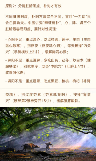 阳光健康～补阳气