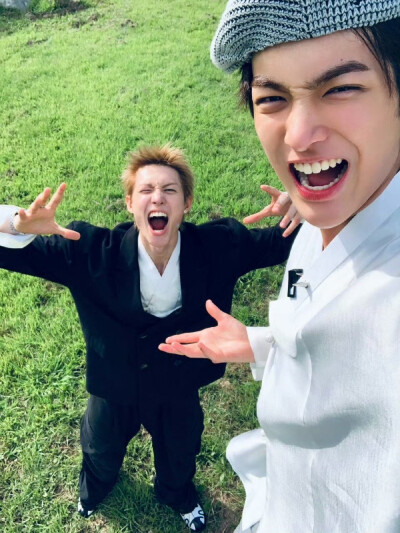 cortis